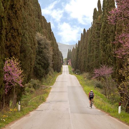 Villa La Ripa Del Drago Bibbona Esterno foto