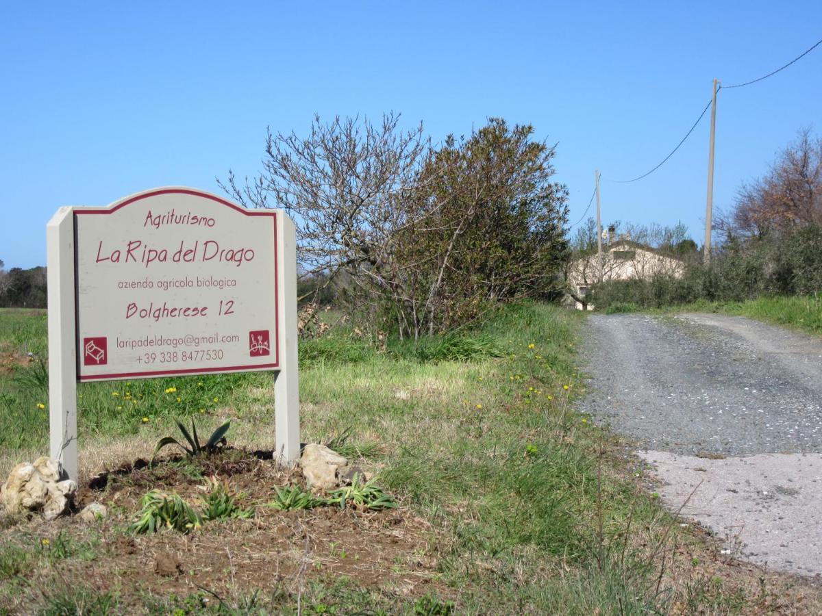 Villa La Ripa Del Drago Bibbona Esterno foto