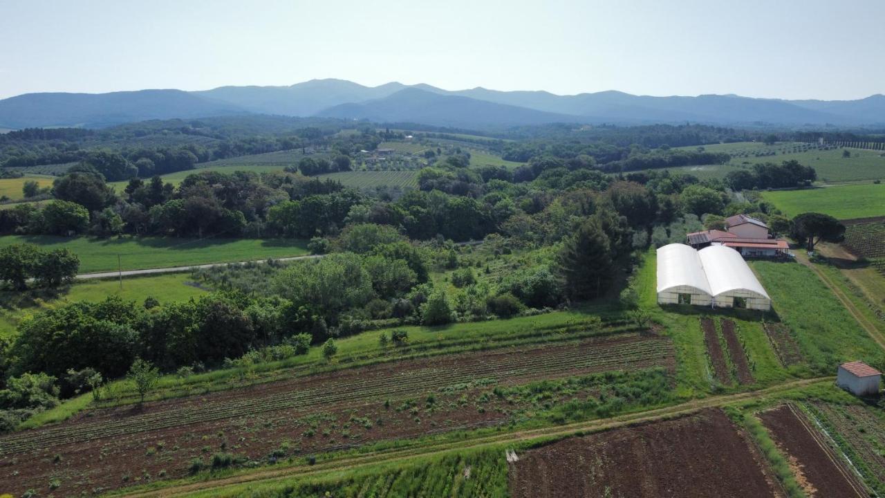 Villa La Ripa Del Drago Bibbona Esterno foto