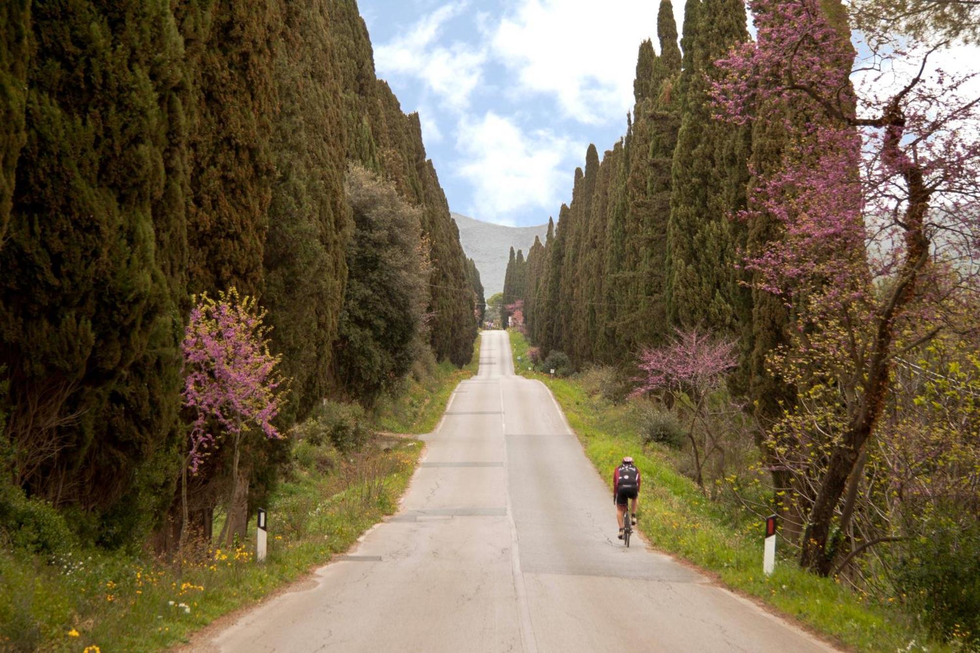 Villa La Ripa Del Drago Bibbona Esterno foto
