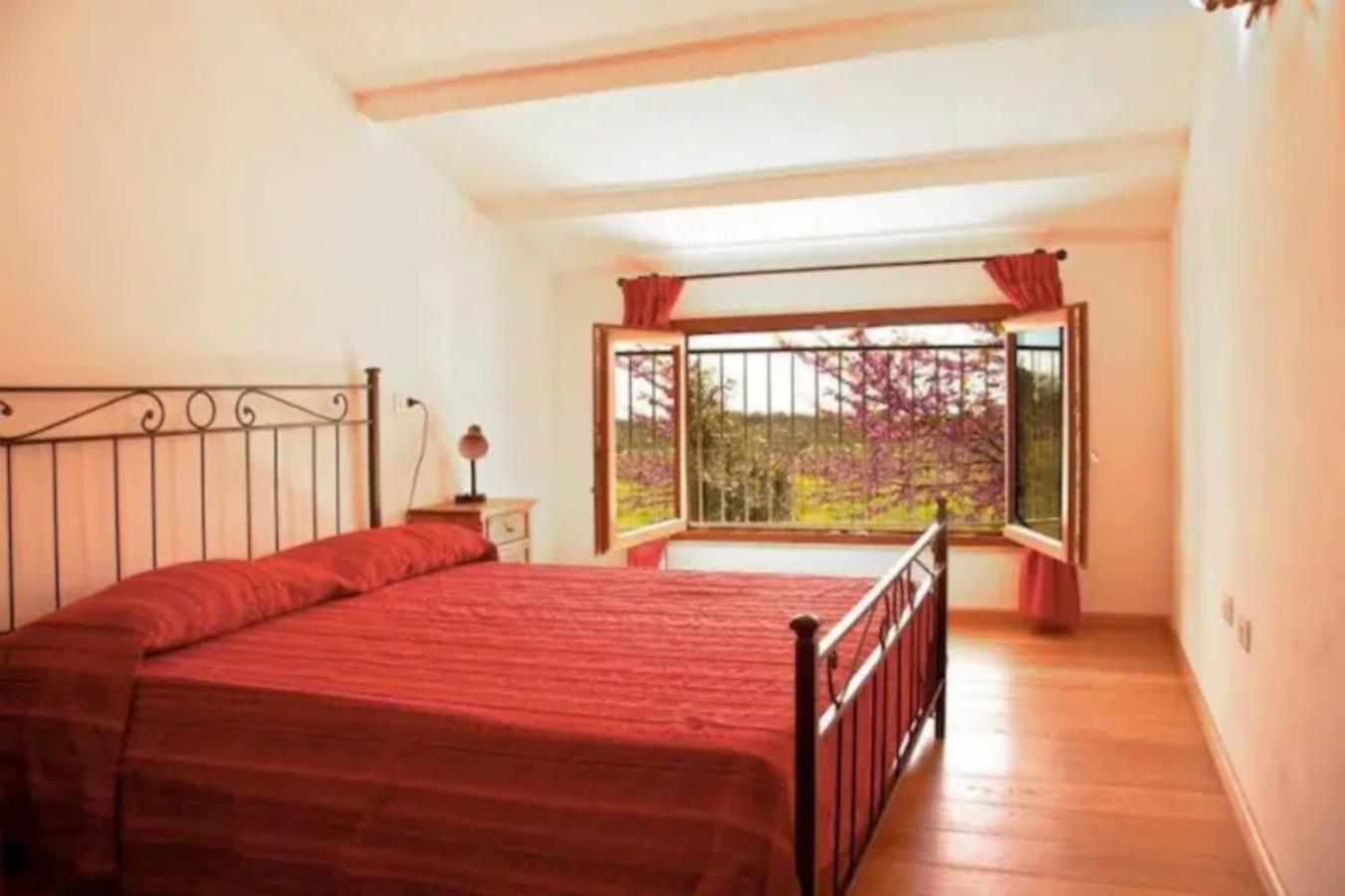 Villa La Ripa Del Drago Bibbona Esterno foto